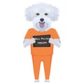 Mugshot prison clothes dog Maltese